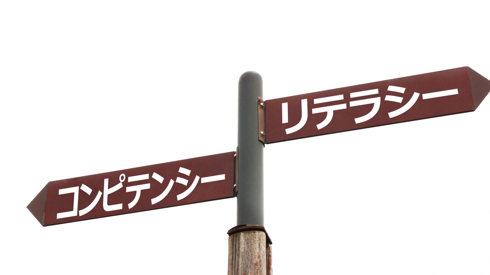 情報社会を生き抜くための武器：リテラシーとは何か？